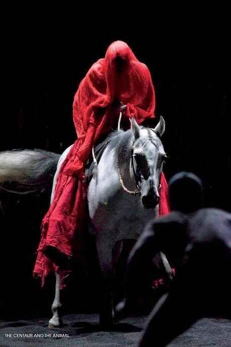 The Centaur and the Animal